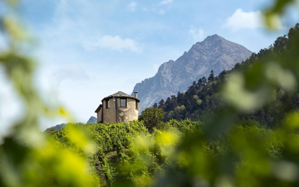 Charming rural house amidst lush greenery with a mountain backdrop in Italy's countryside.